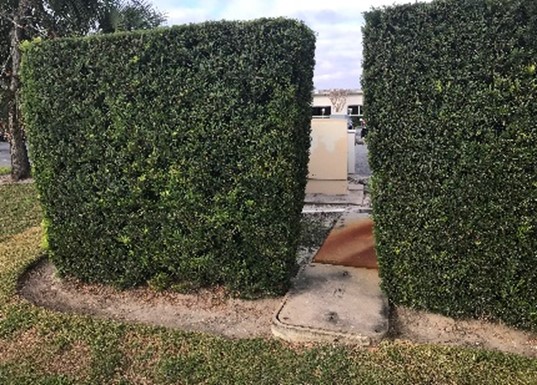 Landscape Code Fl The Benefits of a Landscape Ordinance - America In Bloom